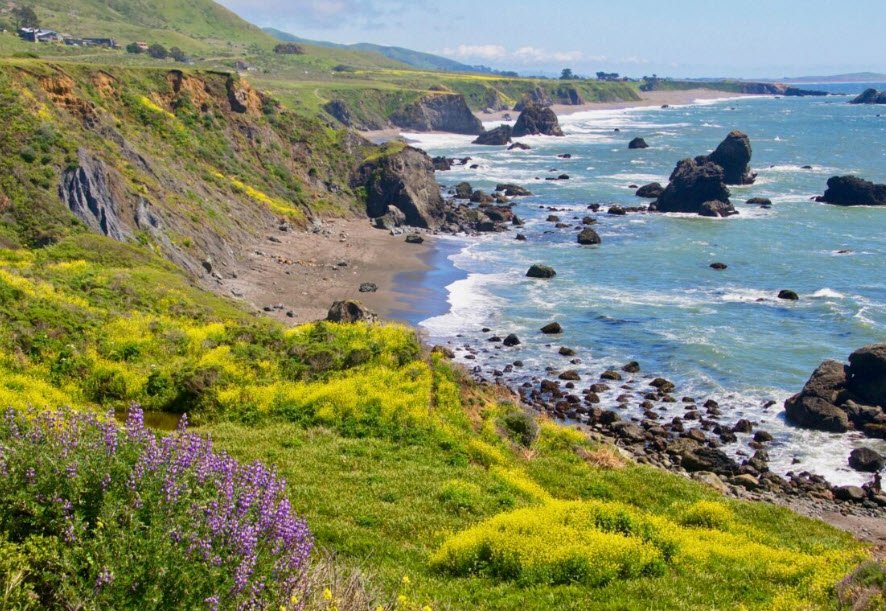 Sonoma Coast State Park, California, USA